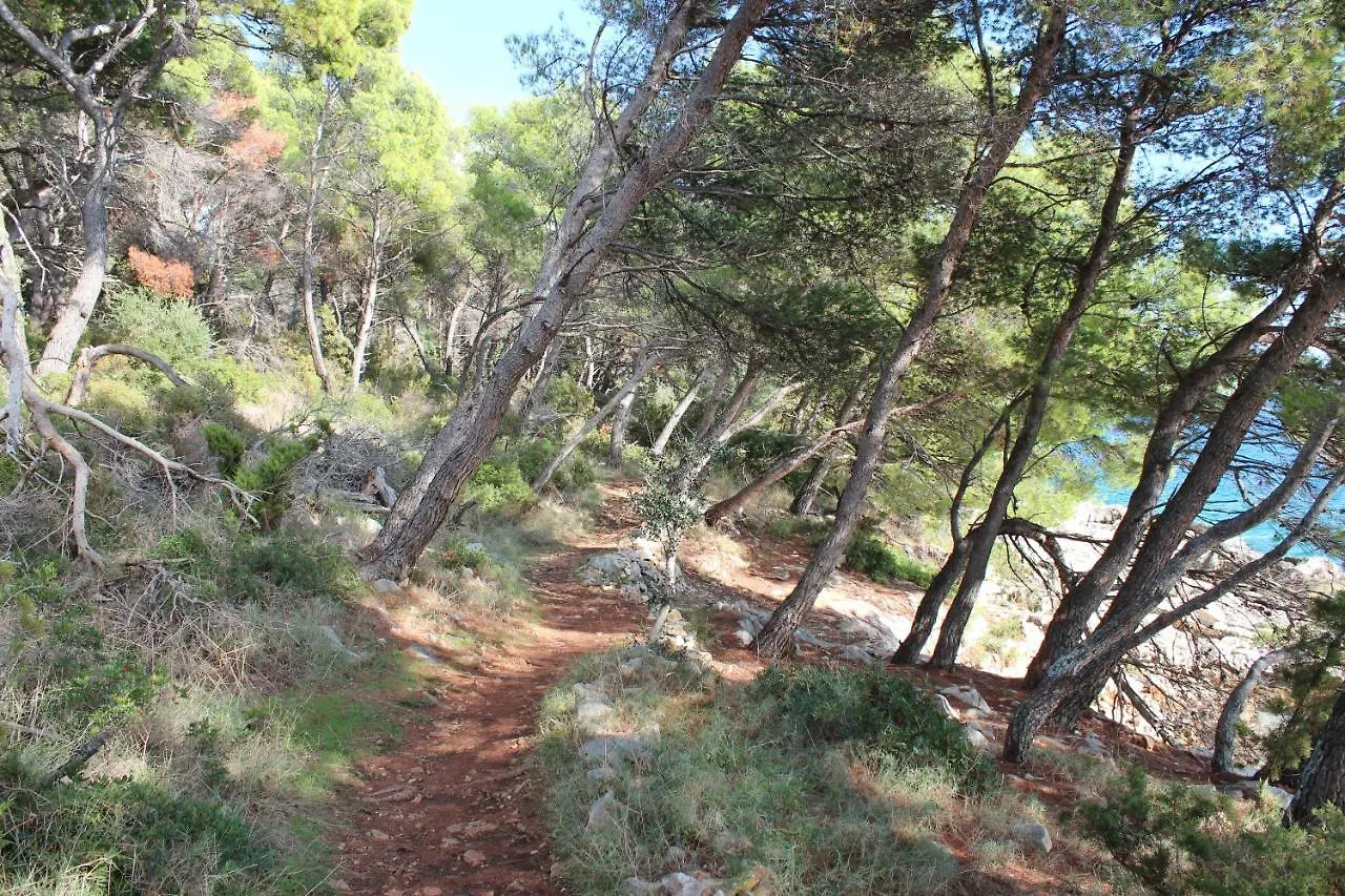 Bayview Apartment Trogir 0*,